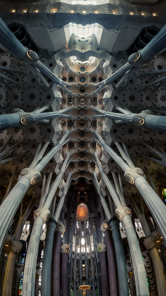 Sagrada Familia ceiling.