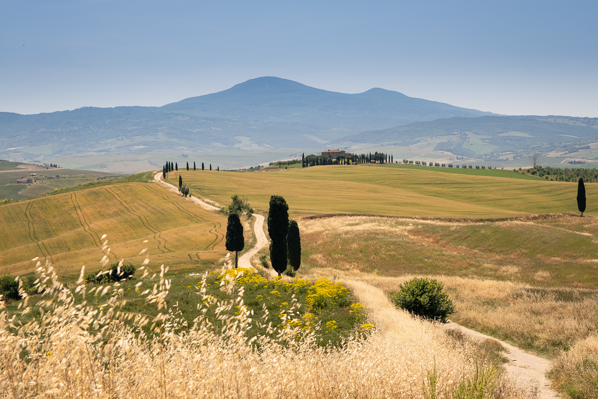 Through Tuscany.